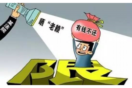 拜泉拜泉讨债公司服务